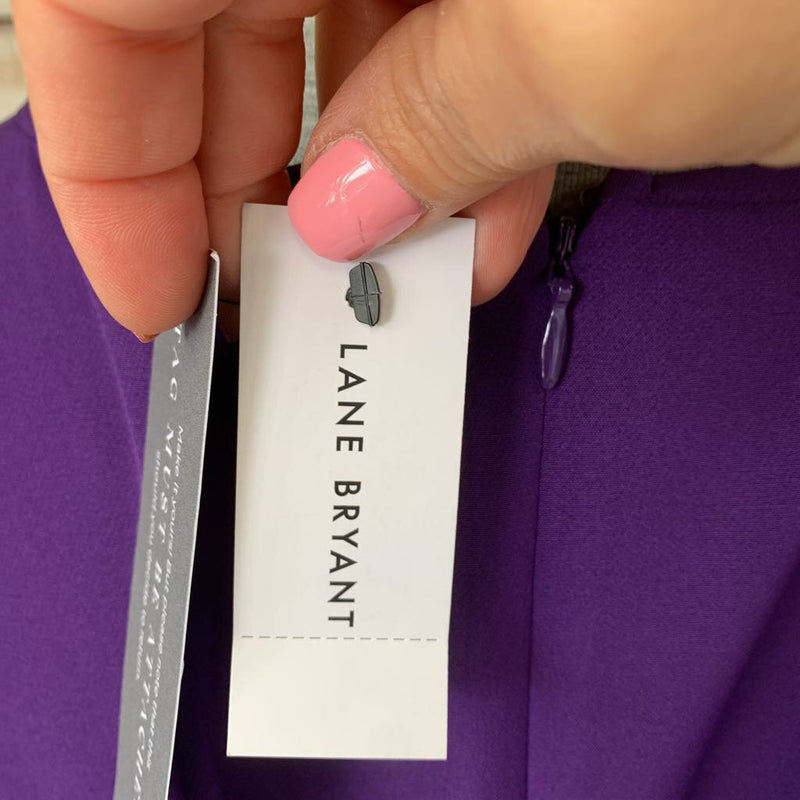 NEW Bell Sleeve High Low